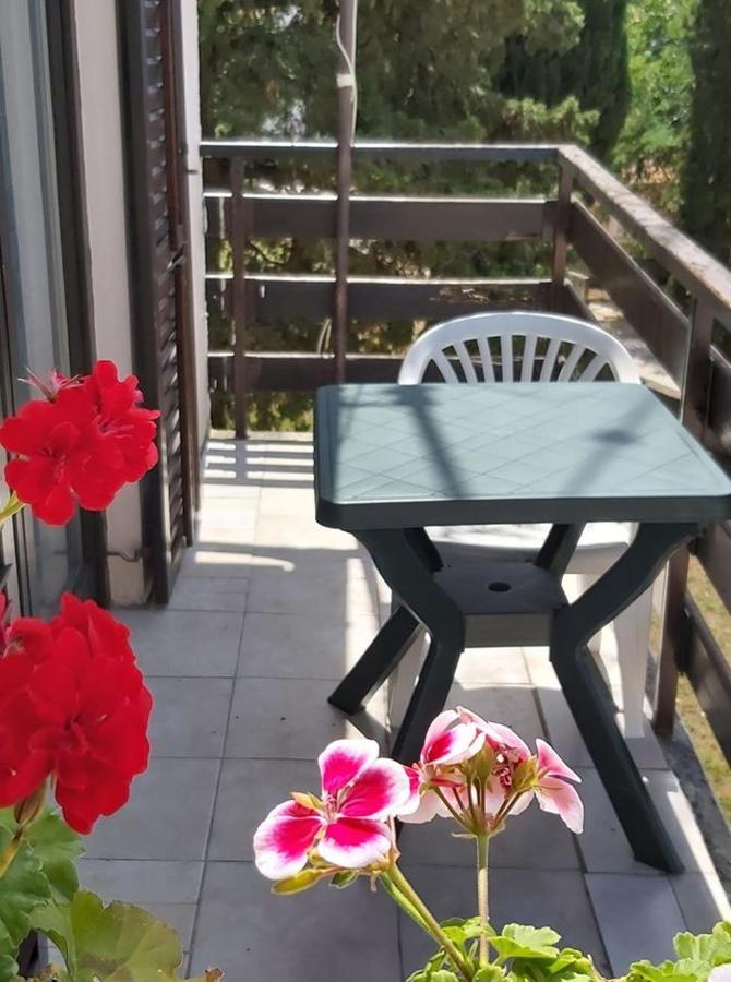 Apartmani Svitlana Sukošan Екстериор снимка